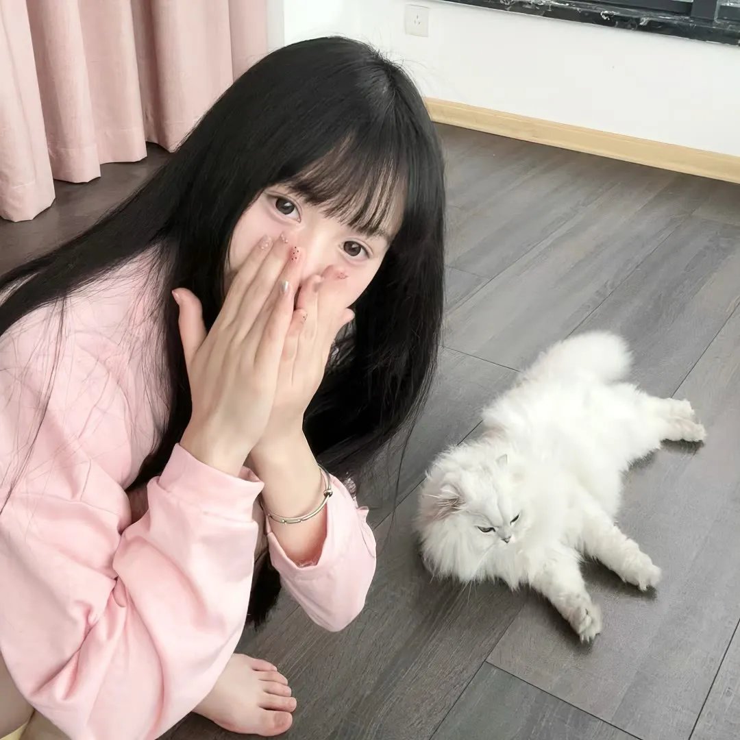东坡家事粤语 在线观看